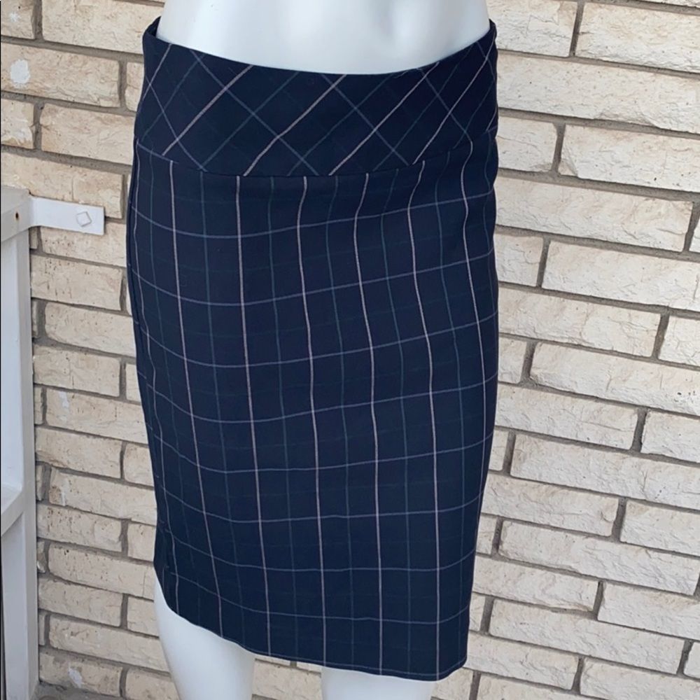 Pencil Skirt